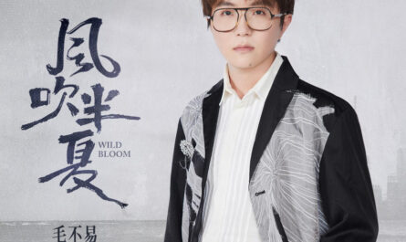 Wild Bloom风吹半夏 Mao Buyi毛不易