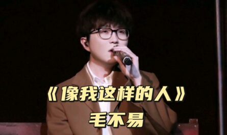 Someone Like Me像我这样的人(Xiang Wo Zhe Yang De Ren) By Mao Buyi毛不易