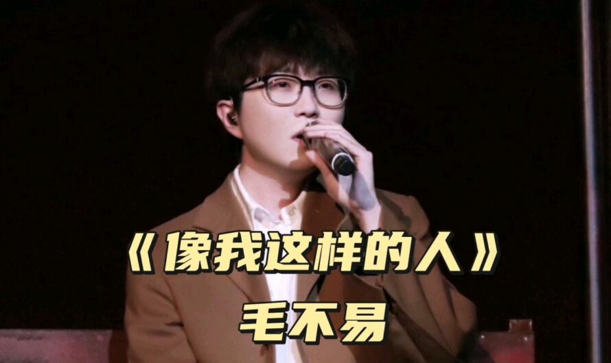 Someone Like Me像我这样的人(Xiang Wo Zhe Yang De Ren) By Mao Buyi毛不易