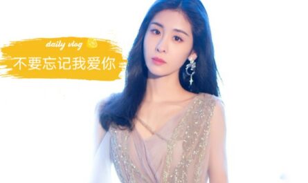 Do Not Forget I Love You 不要忘记我爱你