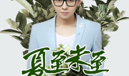 Rush To The Dead Summer夏至未至(Xia Zhi Wei Zhi) Rush To The Dead Summer OST By Hu Xia胡夏