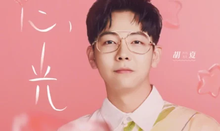 Light of The Heart心光(Xin Guang) Find Yourself OST By Hu Xia胡夏