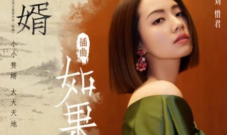 If如果(Ru Guo) My Heroic Husband OST By Sara Liu Xijun刘惜君