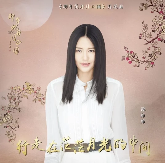 Walking in Moonlight行走在茫茫月光的中间(Xing Zou Zai Mang Mang Yue Guang De Zhong Jian) Nothing Gold Can Stay OST By Sitar Tan Weiwei谭维维