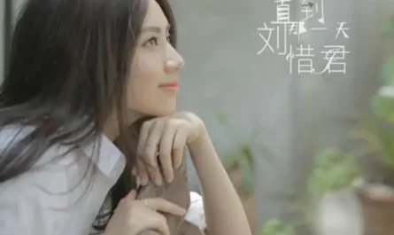 Until That Day直到那一天(Zhi Dao Na Yi Tian) The Imperial Doctress OST By Sara Liu Xijun刘惜君