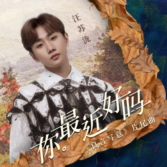 How Have You Been Lately你最近好吗(Ni Zui Jin Hao Ma) Lie to Love OST By Silence Wang汪苏泷