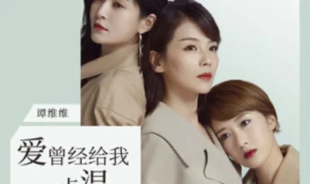 Love Used to Warm Me Up爱曾经给我一点温度(Ai Ceng Jing Gei Wo Yi Dian Wen Du) Love Is True OST By Sitar Tan Weiwei谭维维