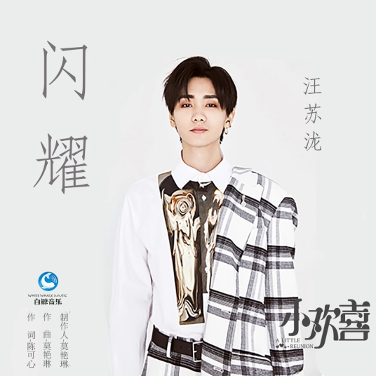 Shining闪耀(Shan Yao) A Little Reunion OST By Silence Wang汪苏泷