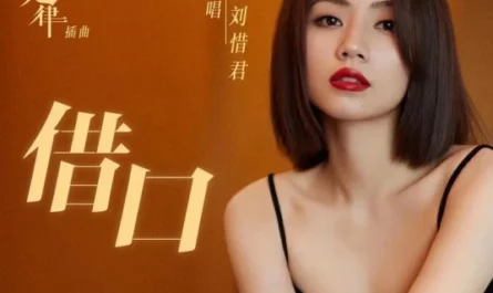 Excuse借口(Jie Kou) She and Her Perfect Husband OST By Sara Liu Xijun刘惜君