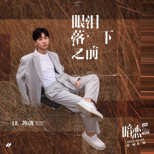 Before Tears Fall Down眼泪落下之前(Yan Lei Luo Xia Zhi Qian) My Blue Summer OST By Silence Wang汪苏泷
