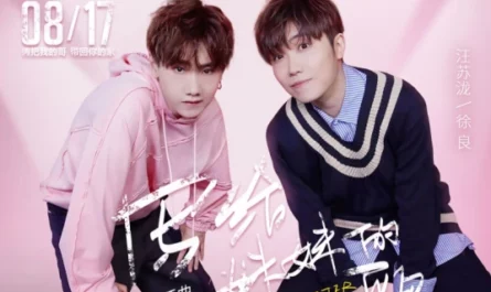 A Song For My Sister写给妹妹的歌(Xie Gei Mei Mei De Ge) Go Brother! OST By Silence Wang汪苏泷 & Xu Liang徐良