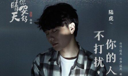 I Won't Disturb Your Life不打扰，你的人生(Bu Da Rao, Ni De Ren Sheng) Sunshine of My Life OST By Lu Hu陆虎