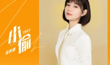 Thief小偷(Xiao Tou) Warm Hug OST By Clare Duan Aojuan段奥娟