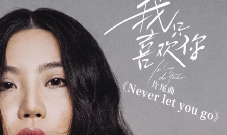 Never let you go (Le Coup de Foudre OST) By Sagel/SAJI萨吉