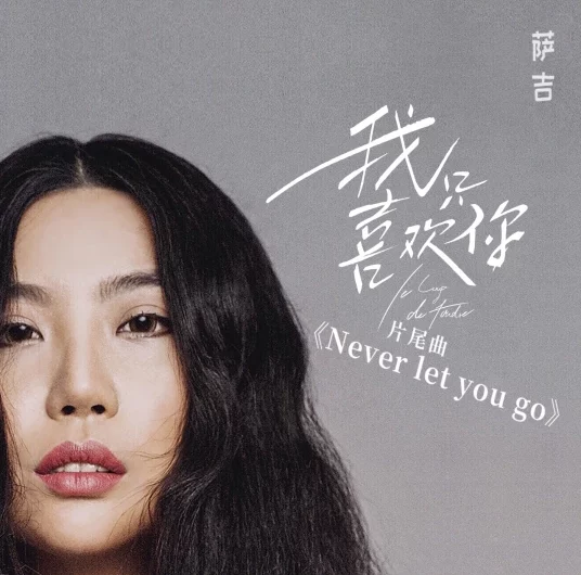 Never let you go (Le Coup de Foudre OST) By Sagel/SAJI萨吉