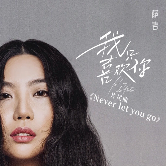 Never let you go (Le Coup de Foudre OST) By Sagel/SAJI萨吉