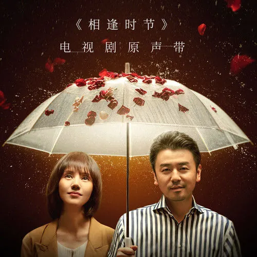 I Do我愿意(Wo Yuan Yi) Challenges at Midlife OST By Sagel/SAJI萨吉