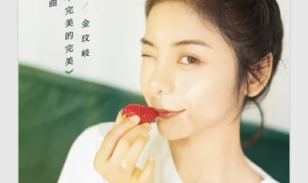 Imperfect Perfection不完美的完美(Bu Wan Mei De Wan Mei) Perfect Partner OST By Vanessa Jin Wenqi金玟岐