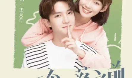 Before The Next Sunset下个日落之前(Xia Ge Ri Luo Zhi Qian) When I See Your Face OST By Clare Duan Aojuan段奥娟 & William Wang Tianruo王天若