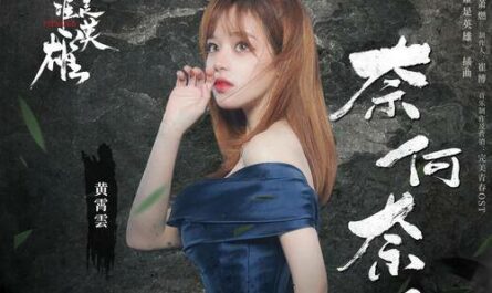 What Can I Do奈何奈何(Nai He Nai He) Heroes OST By Huang Xiaoyun (Wink XY)黄霄云