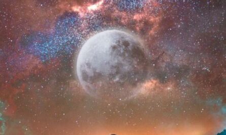 Moonlight By Tia Ray袁娅维 & Will Pan潘玮柏