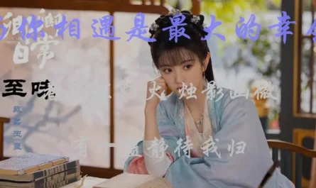 Ultimate Taste至味(Zhi Wei) New Life Begins OST By Bu Cai不才