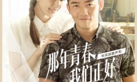 Drifting Traveler越走越远的旅客(Yue Zou Yue Yuan De Lv Ke) Precious Youth OST By Reno Wang Zhengliang王铮亮