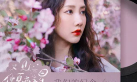 Our Memory我们的纪念(Wo Men De Ji Nian) See Midsummer Night’s Stars Again OST By Stringer Xianzi弦子