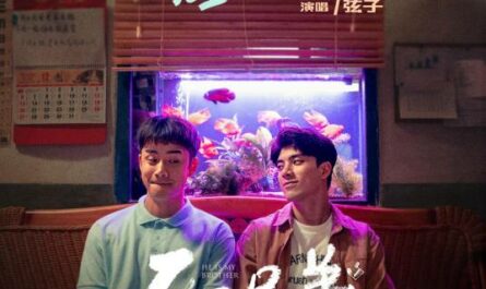 Brilliant You灿烂的你(Can Lan De Ni) He Is My Brother OST By Stringer Xianzi弦子