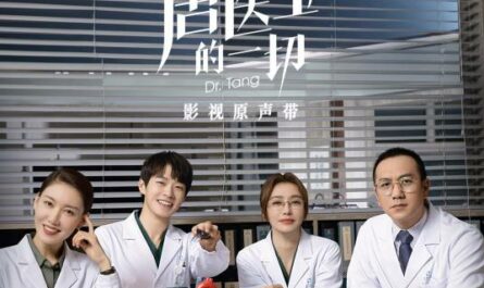 Accompany You to Finish This Life's Journey陪你走完人生的旅行(Pei Ni Zou Wan Ren Sheng De Lv Xing) Dr. Tang OST By Stringer Xianzi弦子