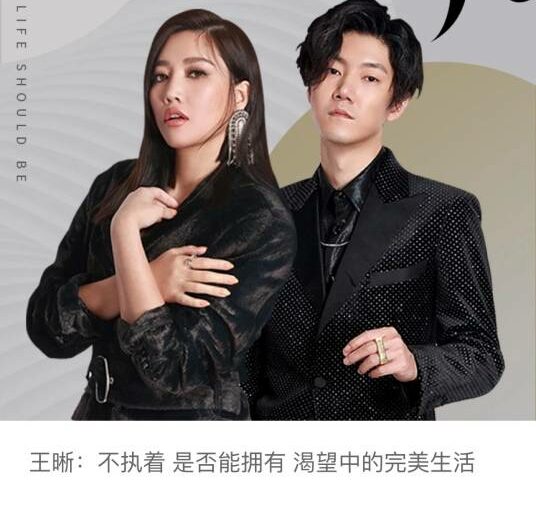 The Way Life Should Be生活该有的样子(Sheng Huo Gai You De Yang Zi) By Elvis Wang Xi王晰 & A-Lin黄丽玲