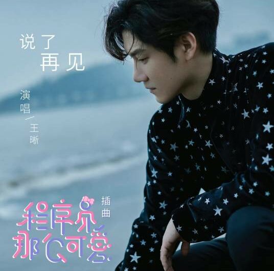 Said Goodbye说了再见(Shuo Le Zai Jian) Cute Programmer OST By Elvis Wang Xi王晰 & Li Xiaoxiao李潇潇