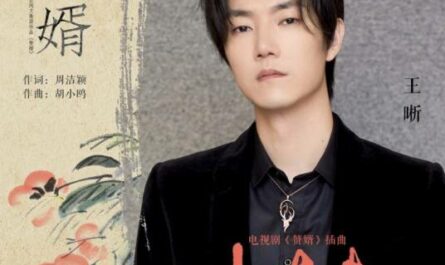 Little Husband小丈夫(Xiao Zhang Fu) My Heroic Husband OST By Elvis Wang Xi王晰