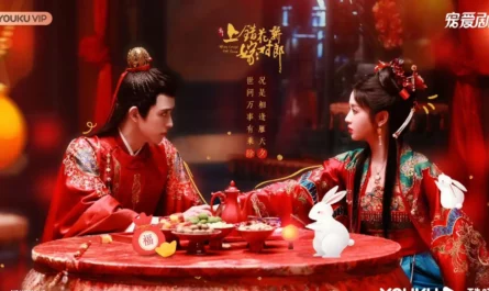 Misty Rainfall In Yangzhou烟雨落扬州(Yan Yu Luo Yang Zhou) Wrong Carriage, Right Groom OST By A YueYue阿YueYue