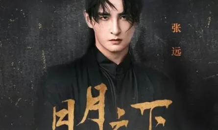 Under the Sun and Moon日月之下(Ri Yue Zhi Xia) Tiger and Crane OST By Zhang Yuan张远