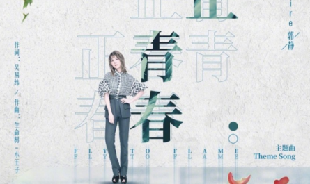 Fighting Youth正青春(Zheng Qing Chun) Fighting Youth OST By Claire Kuo郭静