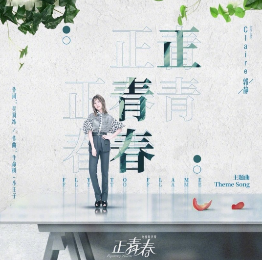 Fighting Youth正青春(Zheng Qing Chun) Fighting Youth OST By Claire Kuo郭静