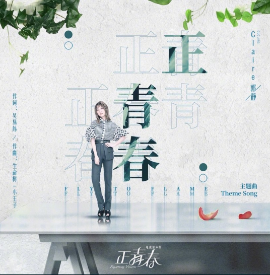 Fighting Youth正青春(Zheng Qing Chun) Fighting Youth OST By Claire Kuo郭静