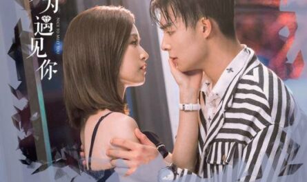 True Heart and Insincerity真心假意(Zhen Xin Jia Yi) Nice to Meet You OST By Queena Cui Zige崔子格