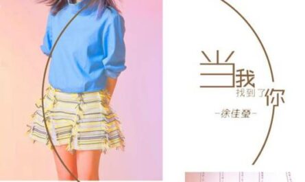 When I Found You当我找到了你(Dang Wo Zhao Dao Le Ni) Suddenly Seventeen OST By LaLa Hsu徐佳莹