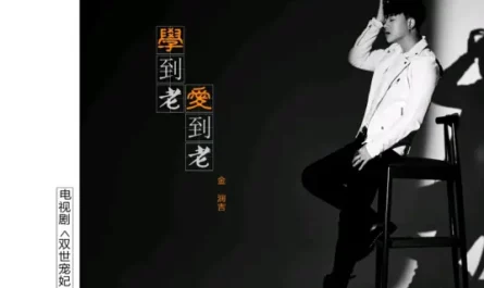 Learn and Love till Old Age学到老爱到老(Xue Dao Lao Ai Dao Lao) The Eternal Love OST By Jin Runji(A Run)金润吉