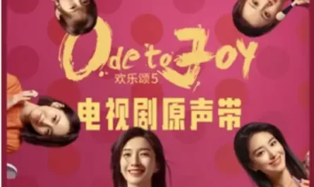 Tears in The Eyes眼里的泪(Yan Li De Lei) Ode to Joy Season 5 By Reyi Liu Renyu刘人语