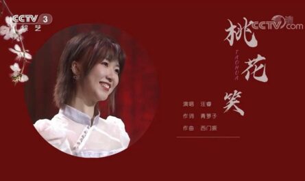 Peace Blossom Smile桃花笑(Tao Hua Xiao) I Will Never Let You Go OST By Rio Wang Rui汪睿