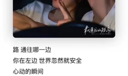 Premeditated Love预谋爱恋(Yu Mou Ai Lian) The Furthest Distance OST By Reyi Liu Renyu刘人语