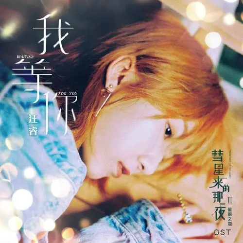 I'll Wait For You我等你(Wo Deng Ni) The Night of the Comet Season 2 OST By Rio Wang Rui汪睿