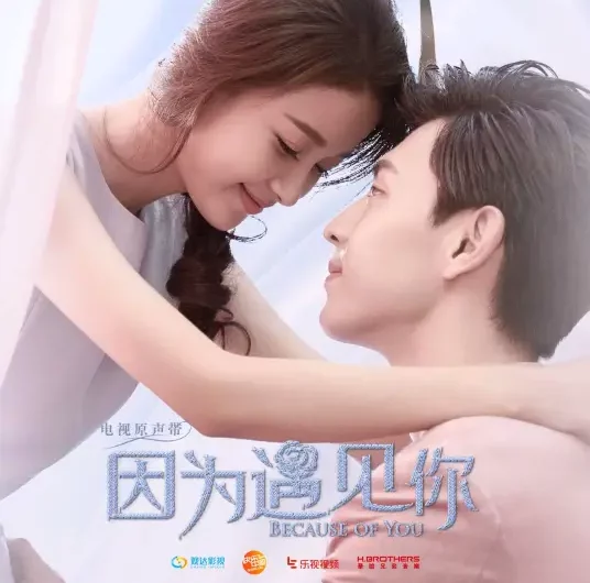 Met You遇见你(Yu Jian Ni) Because of Meeting You OST By Milk Coffee牛奶咖啡