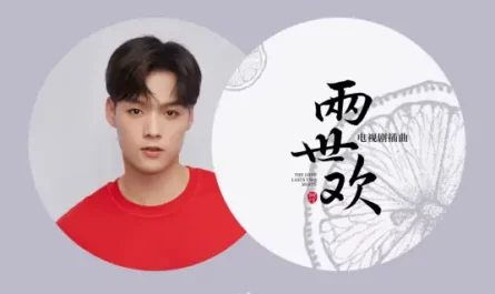 Hidden Scar伤隐(Shang Yin) The Love Lasts Two Minds OST By Jeffrey Tung董又霖