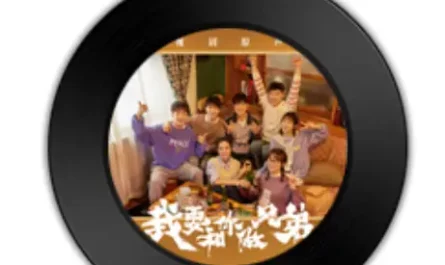 Address Never Existed从来不存在的地址(Cong Lai Bu Cun Zai De Di Zhi) I Don't Want to Be Brothers With You OST By Leo Yu Jiayun余佳运