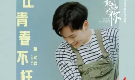 Live Up To Youth让青春不枉(Rang Qing Chun Bu Wang) The Best of You in My Mind OST By Jeffrey Tung董又霖