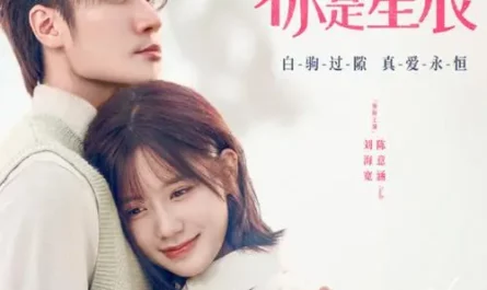 Stars星辰(Xing Chen) My Eternal Star OST By Koala Liu Sihan刘思涵